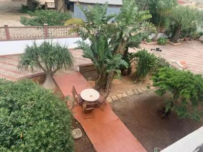 La Mimosa Case Vacanze - 53