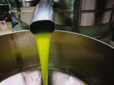 La Mimosa Case Vacanze - 61