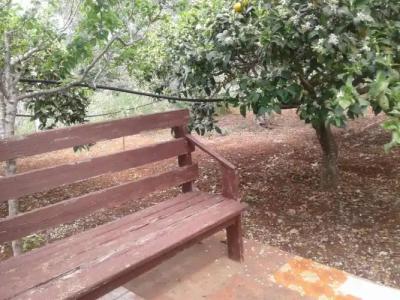 La Mimosa Case Vacanze - 101