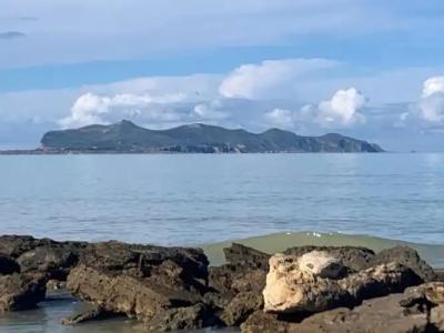 La Mimosa Case Vacanze - 55