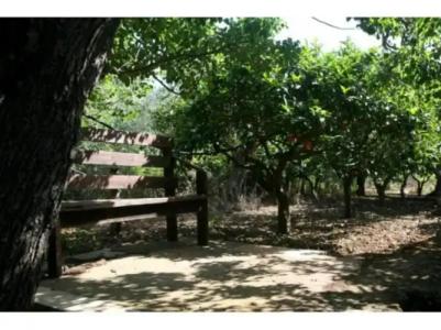 La Mimosa Case Vacanze - 87