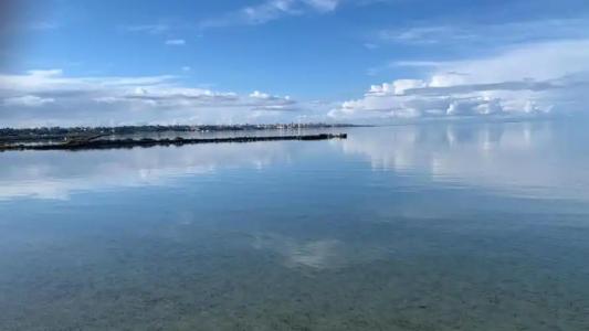 La Mimosa Case Vacanze - 81