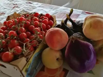 La Mimosa Case Vacanze - 85