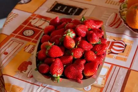 La Mimosa Case Vacanze - 94