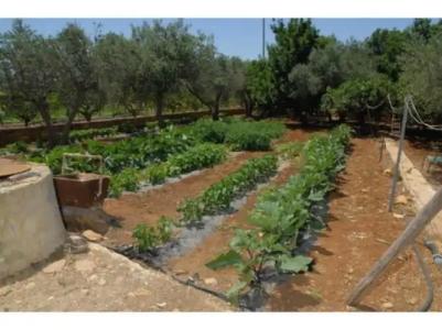 La Mimosa Case Vacanze - 71