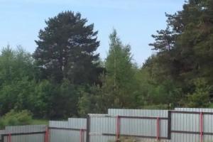 Гостевой дом «Заречье, 18»