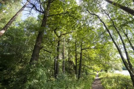 Санаторий имени Горького - 25