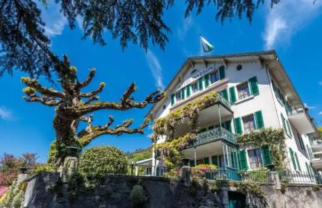 Swiss Historic Masson - 0