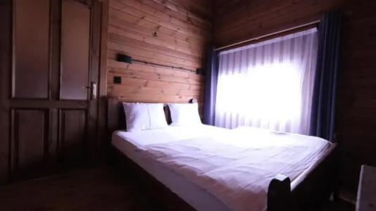 Uludag Orman Koskleri - 84