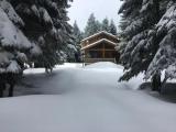 Четырёхместный номер Deluxe