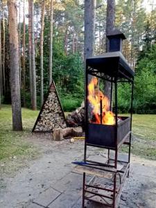 Дом Лесника - 8