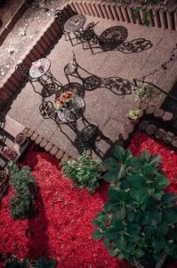 SmartFlamingo self check-in - 38