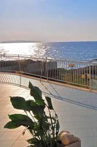 L'Approdo di Angelino - 74