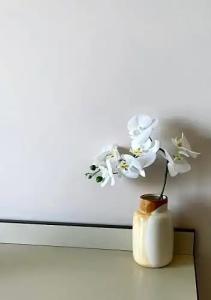 L'Approdo di Angelino - 72