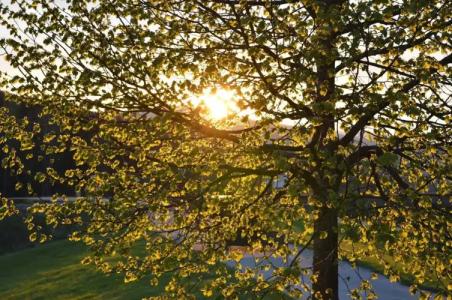 Wellness- und VitalBöhmhof - 40