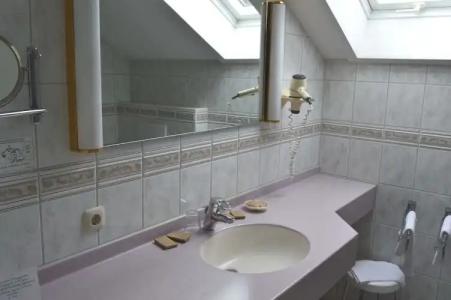 Wellness- und VitalBöhmhof - 59