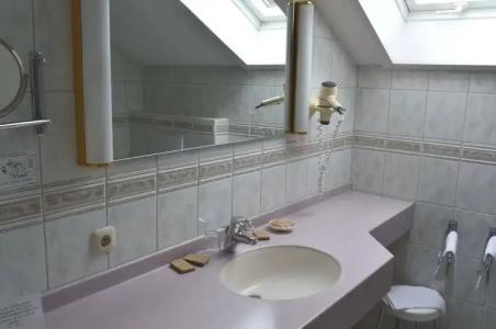 Wellness- und VitalBöhmhof - 35