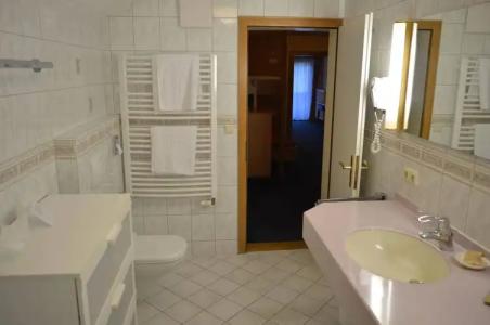 Wellness- und VitalBöhmhof - 10