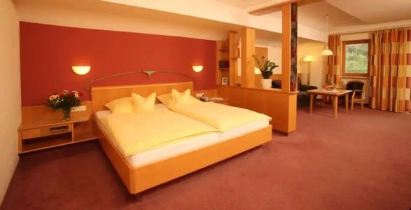 Wellness- und VitalBöhmhof - 119