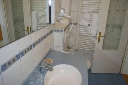 Wellness- und VitalBöhmhof - 88