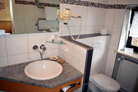 Wellness- und VitalBöhmhof - 57