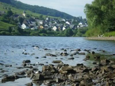 zur Post - Burg an der Mosel - 31