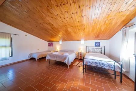 Agriturismo il Palagetto - 5