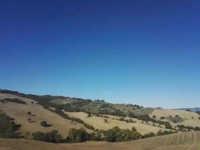 Agriturismo il Palagetto - 14