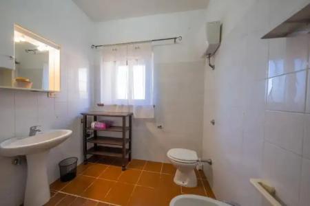 Agriturismo il Palagetto - 8