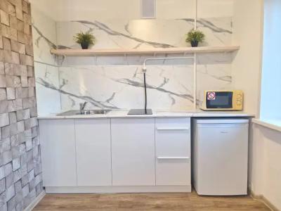 near the centre of Minsk - 8