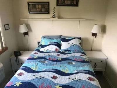 South Beach Inn - - 81