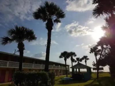 South Beach Inn - - 16