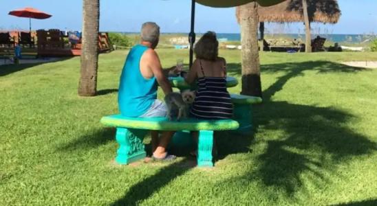 South Beach Inn - - 13