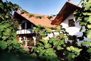 Мини-отель «Weingut Magdalenenhof», Рюдесхайм-на-Рейне