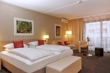 H4 Arcadia Locarno - 51