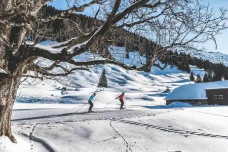 Alpenland - 13