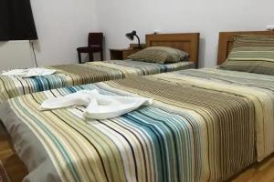 Hostel Lion
