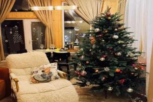 Дом для отпуска «Шелково Дача», Ступино