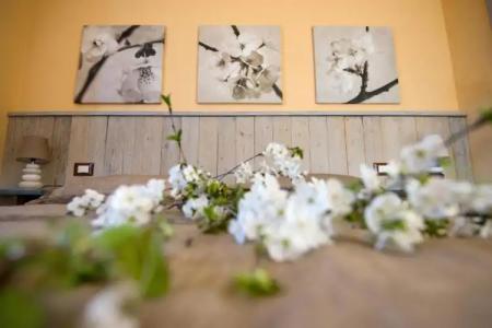 Leonardo Resort - 32