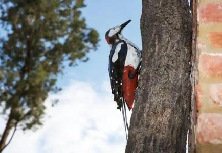 Leonardo Resort - 14