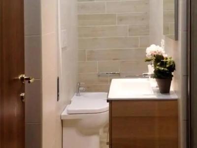 The Pope At The Window - 21