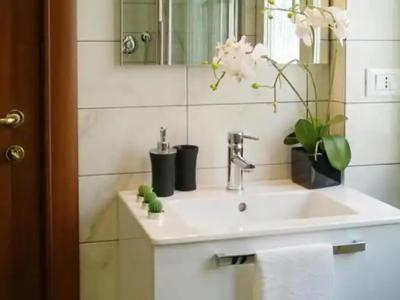 The Pope At The Window - 4