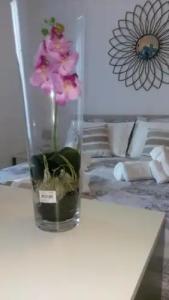 The Pope At The Window - 14