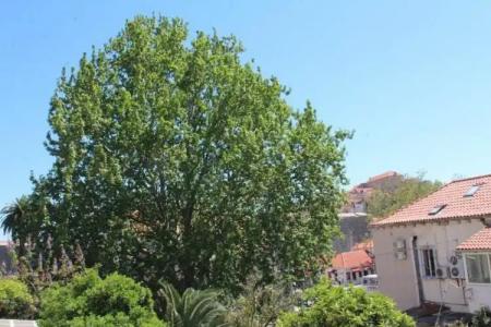 Guest House Gugily - 9