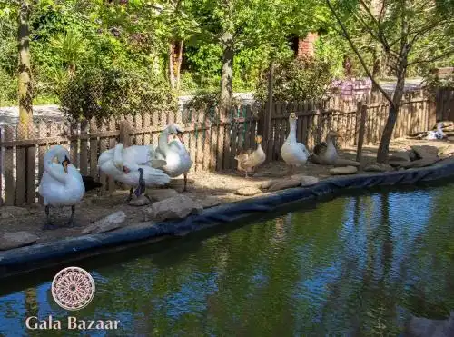 Gala Bazaar Baku - 10