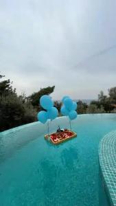 Seaview Faralya - 91