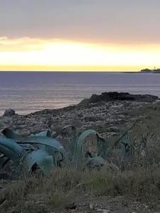 Tesori del Salento - 15