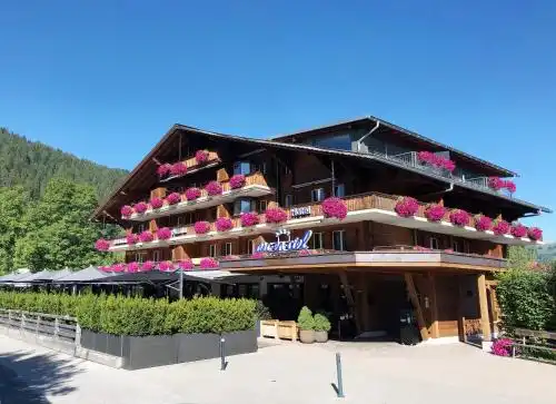 Arc-en-ciel Gstaad - 5