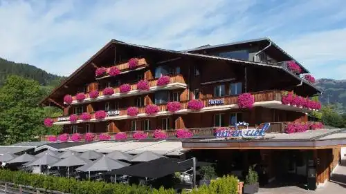 Arc-en-ciel Gstaad - 34