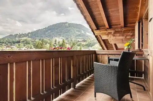 Arc-en-ciel Gstaad - 19
